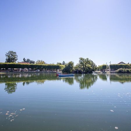 Appartement Cosy ,Wifi ,Gare "Le Refuge Du Lac" Vigneux-sur-Seine Exteriör bild