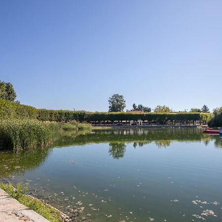 Appartement Cosy ,Wifi ,Gare "Le Refuge Du Lac" Vigneux-sur-Seine Exteriör bild