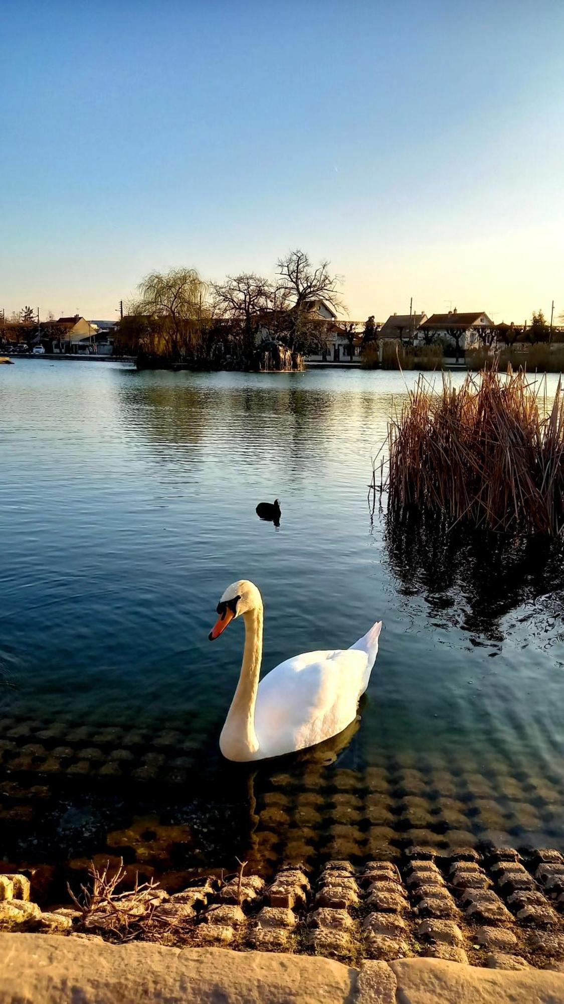 Appartement Cosy ,Wifi ,Gare "Le Refuge Du Lac" Vigneux-sur-Seine Exteriör bild